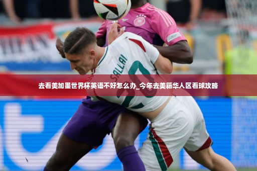 去看美加墨世界杯英语不好怎么办_今年去美籍华人区看球攻略