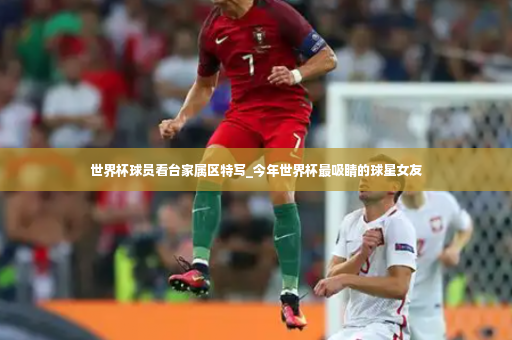 世界杯球员看台家属区特写_今年世界杯最吸睛的球星女友