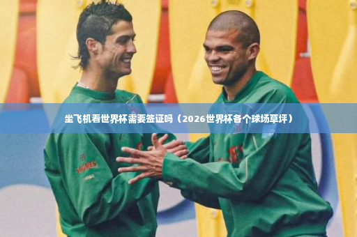 坐飞机看世界杯需要签证吗（2026世界杯各个球场草坪）