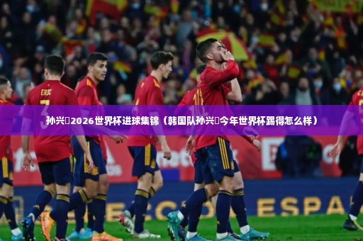 孙兴慜2026世界杯进球集锦（韩国队孙兴慜今年世界杯踢得怎么样）-第2张图片-体育博彩
