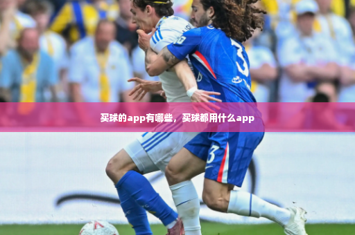 买球的app有哪些,买球都用什么app-第4张图片-体育博彩 买球的app有哪些,买球都用什么app-第4张图片-体育博彩