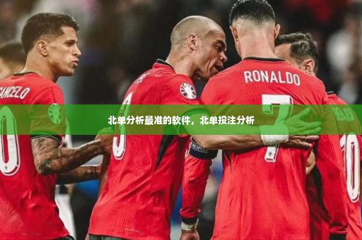 北单分析最准的软件，北单投注分析-第2张图片-体育博彩