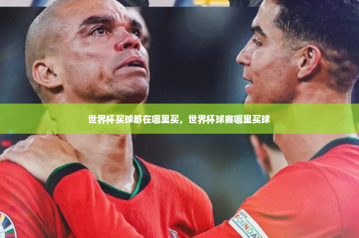 世界杯买球都在哪里买，世界杯球赛哪里买球-第3张图片-体育博彩