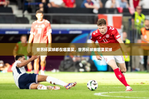 世界杯买球都在哪里买，世界杯球赛哪里买球