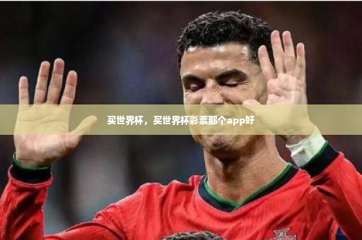 买世界杯，买世界杯彩票那个app好-第2张图片-体育博彩