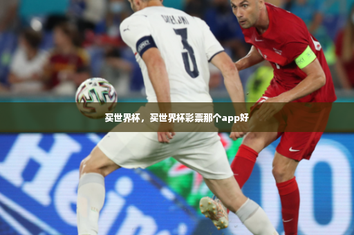 买世界杯，买世界杯彩票那个app好-第3张图片-体育博彩