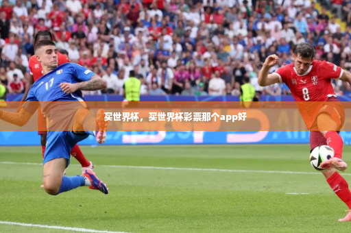 买世界杯，买世界杯彩票那个app好-第4张图片-体育博彩