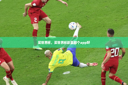 买世界杯，买世界杯彩票那个app好