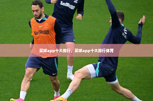 买球app十大排行，买球app十大排行体育
