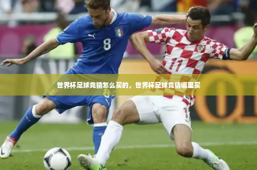 世界杯足球竟猜怎么买的，世界杯足球竞猜哪里买-第2张图片-体育博彩
