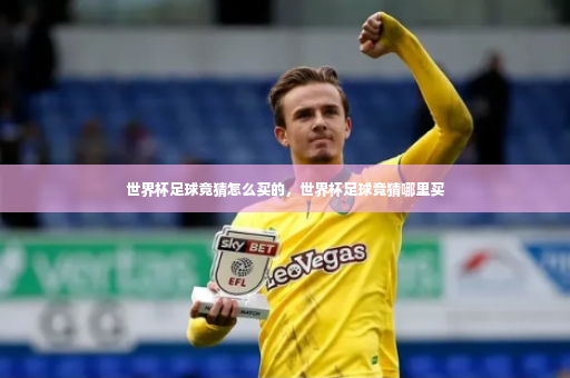 世界杯足球竟猜怎么买的，世界杯足球竞猜哪里买-第4张图片-体育博彩