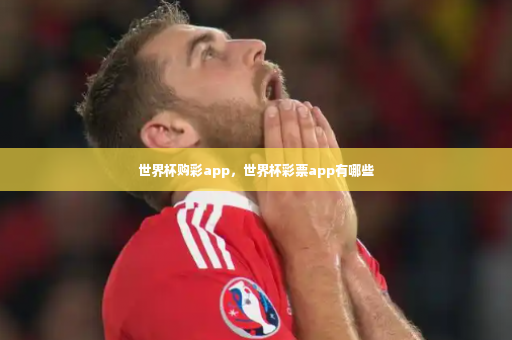 世界杯购彩app，世界杯彩票app有哪些-第2张图片-体育博彩