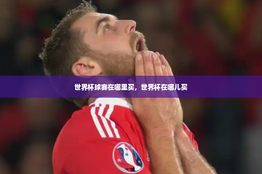 世界杯球赛在哪里买，世界杯在哪儿买-第4张图片-体育博彩