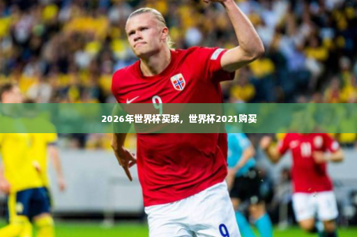 2026年世界杯买球，世界杯2021购买