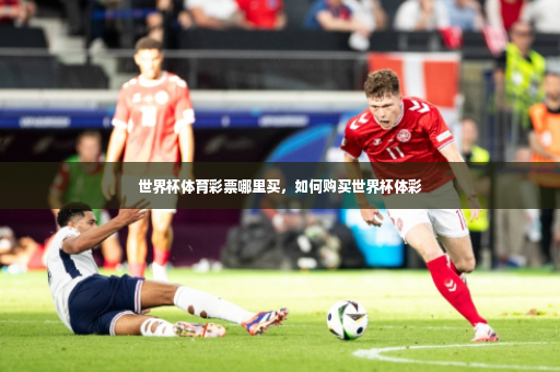 世界杯体育彩票哪里买,如何购买世界杯体彩-第2张图片-体育博彩 世界杯体育彩票哪里买,如何购买世界杯体彩-第2张图片-体育博彩