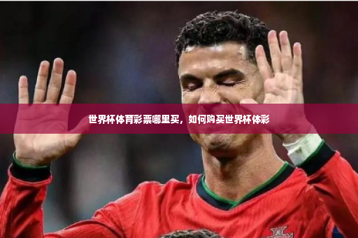 世界杯体育彩票哪里买，如何购买世界杯体彩