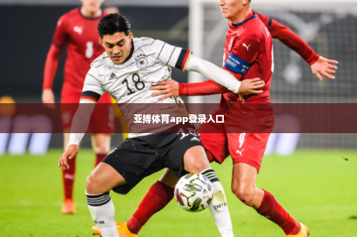 亚搏体育app登录入口-第3张图片-体育博彩