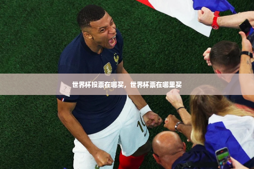 世界杯投票在哪买，世界杯票在哪里买-第3张图片-体育博彩