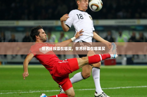 世界杯投票在哪买，世界杯票在哪里买