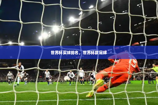 世界杯买球排名，世界杯款足球-第4张图片-体育博彩