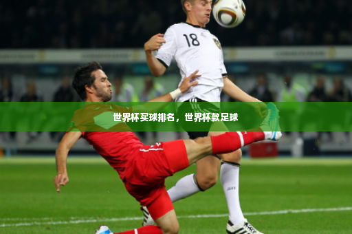 世界杯买球排名，世界杯款足球