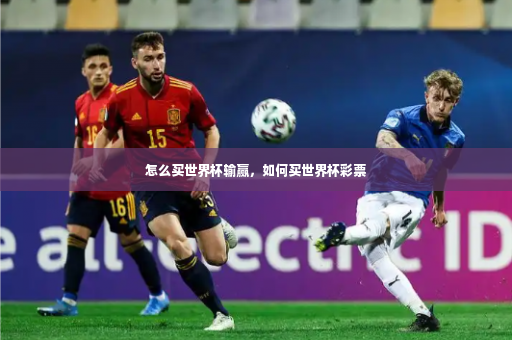 怎么买世界杯输赢，如何买世界杯彩票-第3张图片-体育博彩
