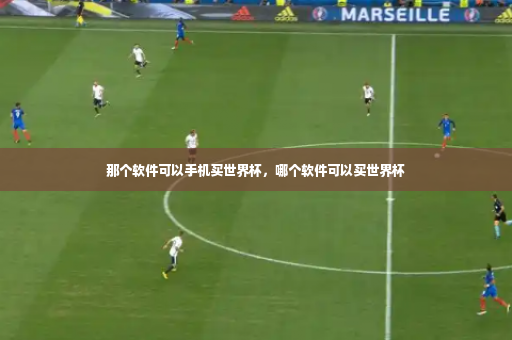 那个软件可以手机买世界杯，哪个软件可以买世界杯-第2张图片-体育博彩
