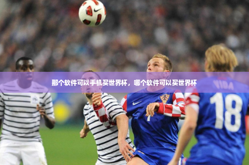 那个软件可以手机买世界杯，哪个软件可以买世界杯-第3张图片-体育博彩