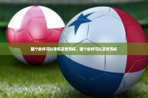 那个软件可以手机买世界杯，哪个软件可以买世界杯