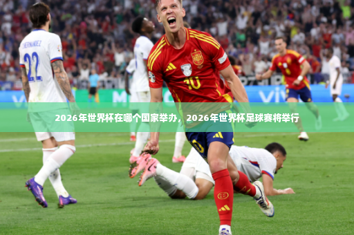 2026年世界杯在哪个国家举办，2026年世界杯足球赛将举行