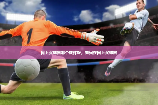 网上买球赛哪个软件好，如何在网上买球赛