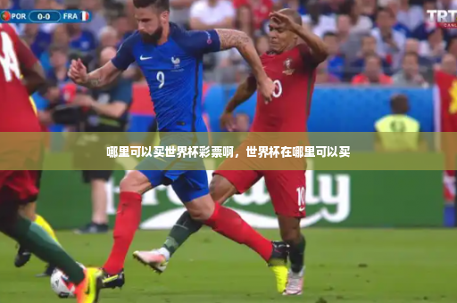 哪里可以买世界杯彩票啊，世界杯在哪里可以买-第2张图片-体育博彩