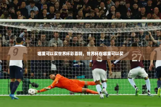 哪里可以买世界杯彩票啊，世界杯在哪里可以买-第3张图片-体育博彩