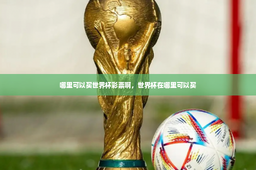 哪里可以买世界杯彩票啊，世界杯在哪里可以买-第4张图片-体育博彩