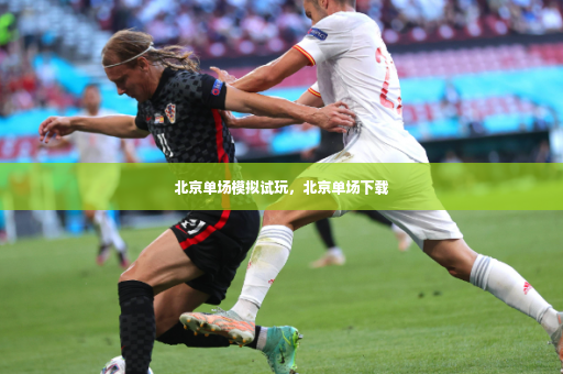 北京单场模拟试玩，北京单场下载-第2张图片-体育博彩
