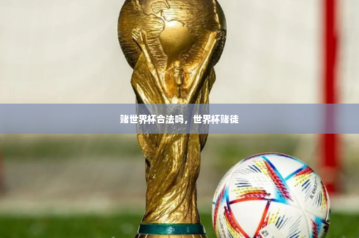 赌世界杯合法吗，世界杯赌徒-第4张图片-体育博彩