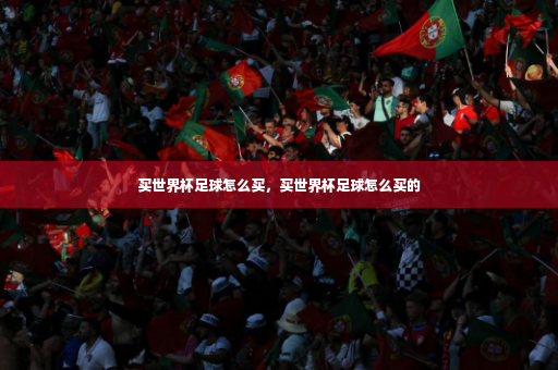买世界杯足球怎么买,买世界杯足球怎么买的-第2张图片-体育博彩 买世界杯足球怎么买,买世界杯足球怎么买的-第2张图片-体育博彩