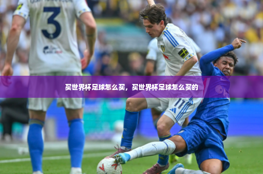 买世界杯足球怎么买，买世界杯足球怎么买的