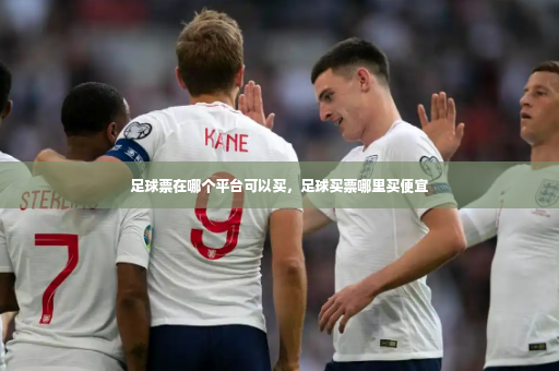 足球票在哪个平台可以买，足球买票哪里买便宜