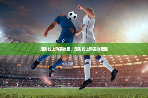 足彩线上购买流程，足彩线上购买流程图-第3张图片-体育博彩