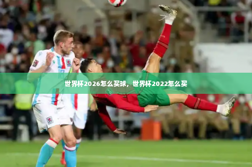 世界杯2026怎么买球，世界杯2022怎么买-第2张图片-体育博彩