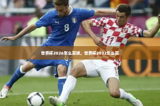 世界杯2026怎么买球，世界杯2022怎么买-第4张图片-体育博彩