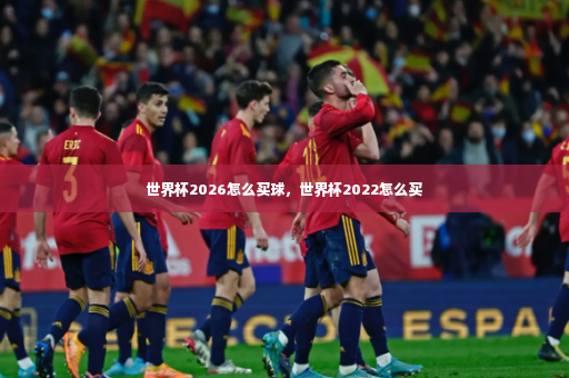 世界杯2026怎么买球，世界杯2022怎么买