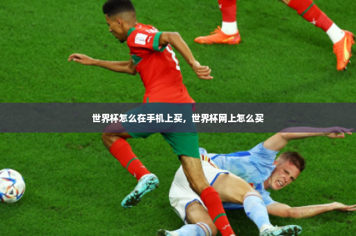 世界杯怎么在手机上买，世界杯网上怎么买-第4张图片-体育博彩
