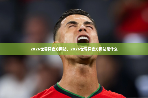 2026世界杯官方网站，2026世界杯官方网站是什么-第3张图片-体育博彩