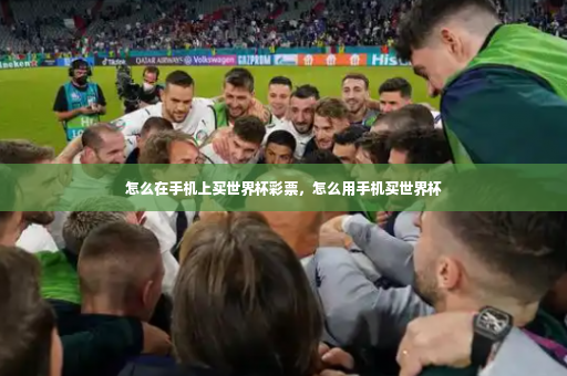 怎么在手机上买世界杯彩票，怎么用手机买世界杯-第2张图片-体育博彩