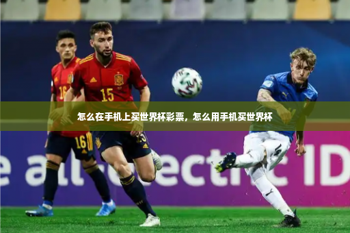 怎么在手机上买世界杯彩票，怎么用手机买世界杯-第4张图片-体育博彩