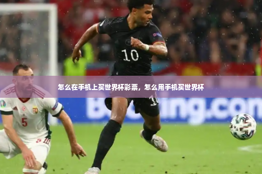 怎么在手机上买世界杯彩票，怎么用手机买世界杯