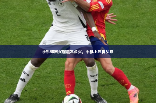 手机球赛买输赢怎么买，手机上怎样买球-第4张图片-体育博彩
