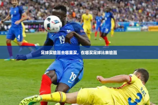 足球买输赢去哪里买，在哪买足球比赛输赢